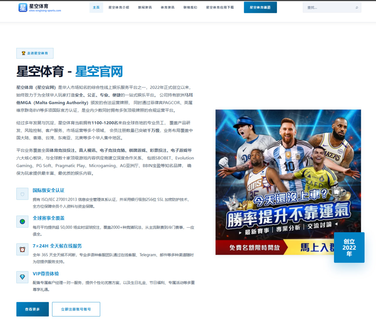 张伟丽与舍普琴科UFC超级战赔率解读及双方优势深度分析