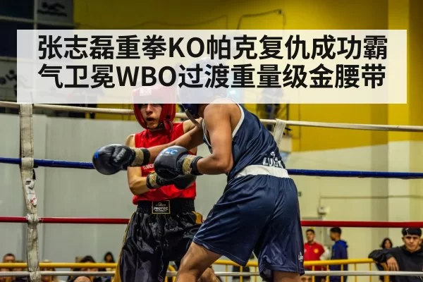 张志磊重拳KO帕克复仇成功霸气卫冕WBO过渡重量级金腰带