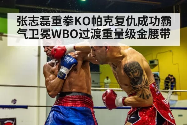 boxing knockout punch